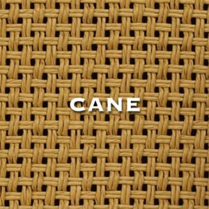 Cane